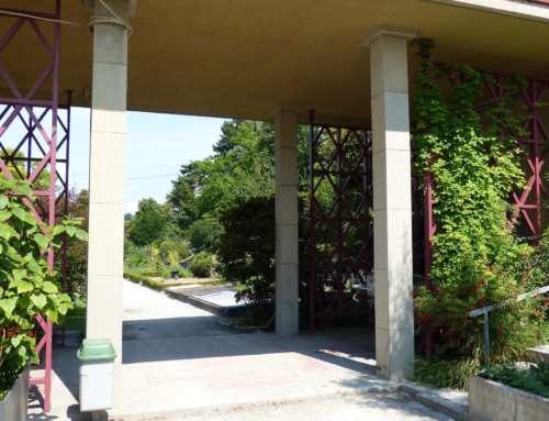 Serres du Jardin Botanique, Lausanne